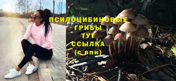 хмурый Верхний Тагил