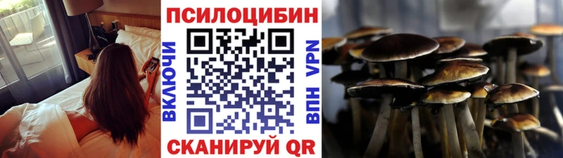 Галлюциногенные грибы MAGIC MUSHROOMS  Купить закладки  Бугульма 